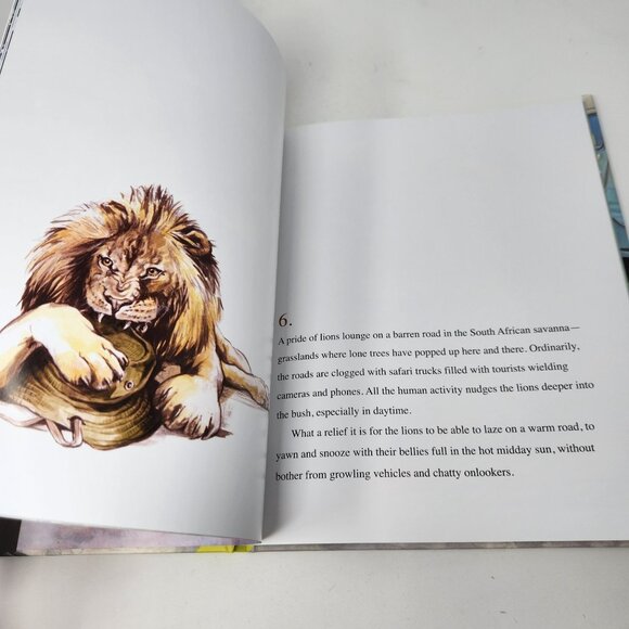 Sea Lions In The Parking Lot By Lenora Todaro & Annika Siems Hardcover Book - Picture 7 of 12